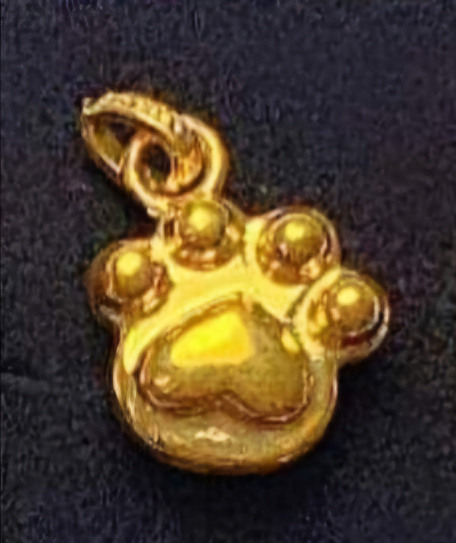 Paw ampaw  Pendant